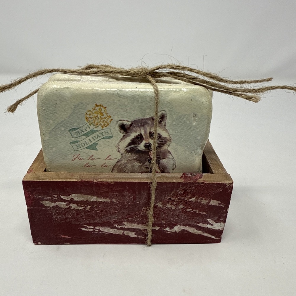 Chad Barrett‎ Birds Raccoon Coaster Set Holiday Set Of 4 Glossy Cork Backing 4"